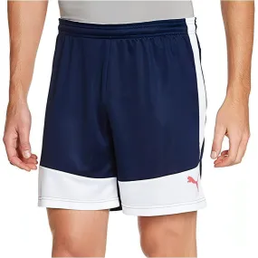 Puma IT evoTRG Mens Training Shorts - Navy